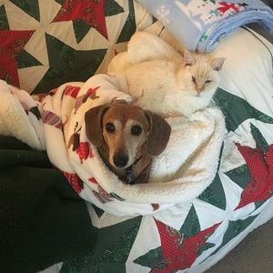 Meet your Posher, Kaye